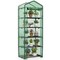 Mini Greenhouse with 5 Shelves, Roll-Up Door & PE Cover for Indoor & Outdoor Plants